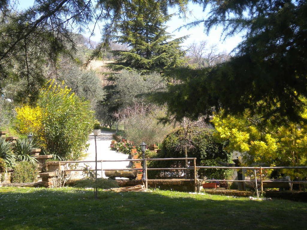 Agriturismo Le Vergare Offagna Exterior photo